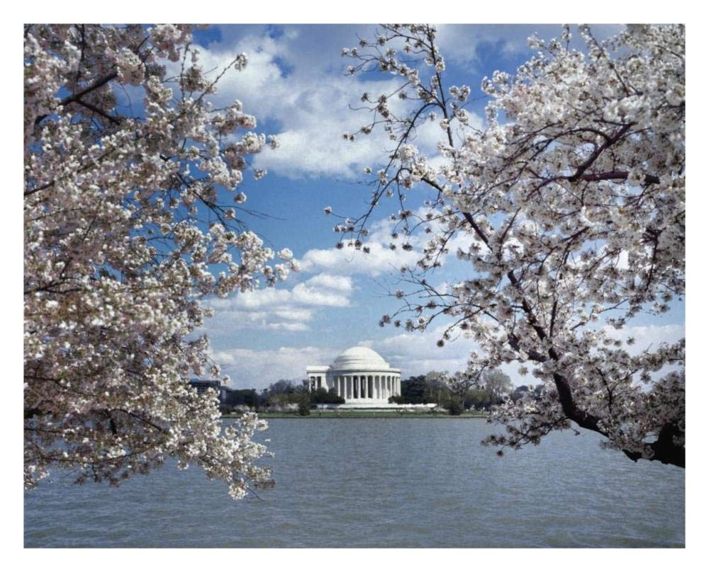Jefferson Memorial with cherry blossoms, Washington, D.C. - Vintage Style Photo Tint Variant-Paper Art-30x24”