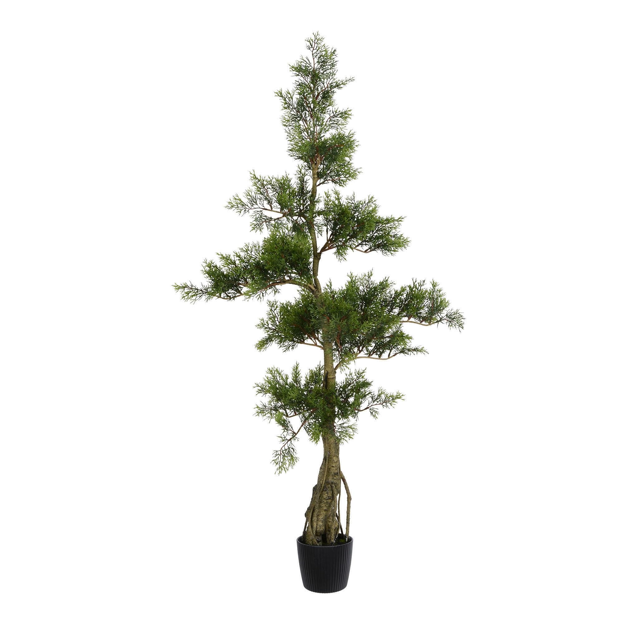 Casafoyer 48-Inch Artificial Cedar Tree - Maintenance-Free Home Decor ( Pack of 2 )