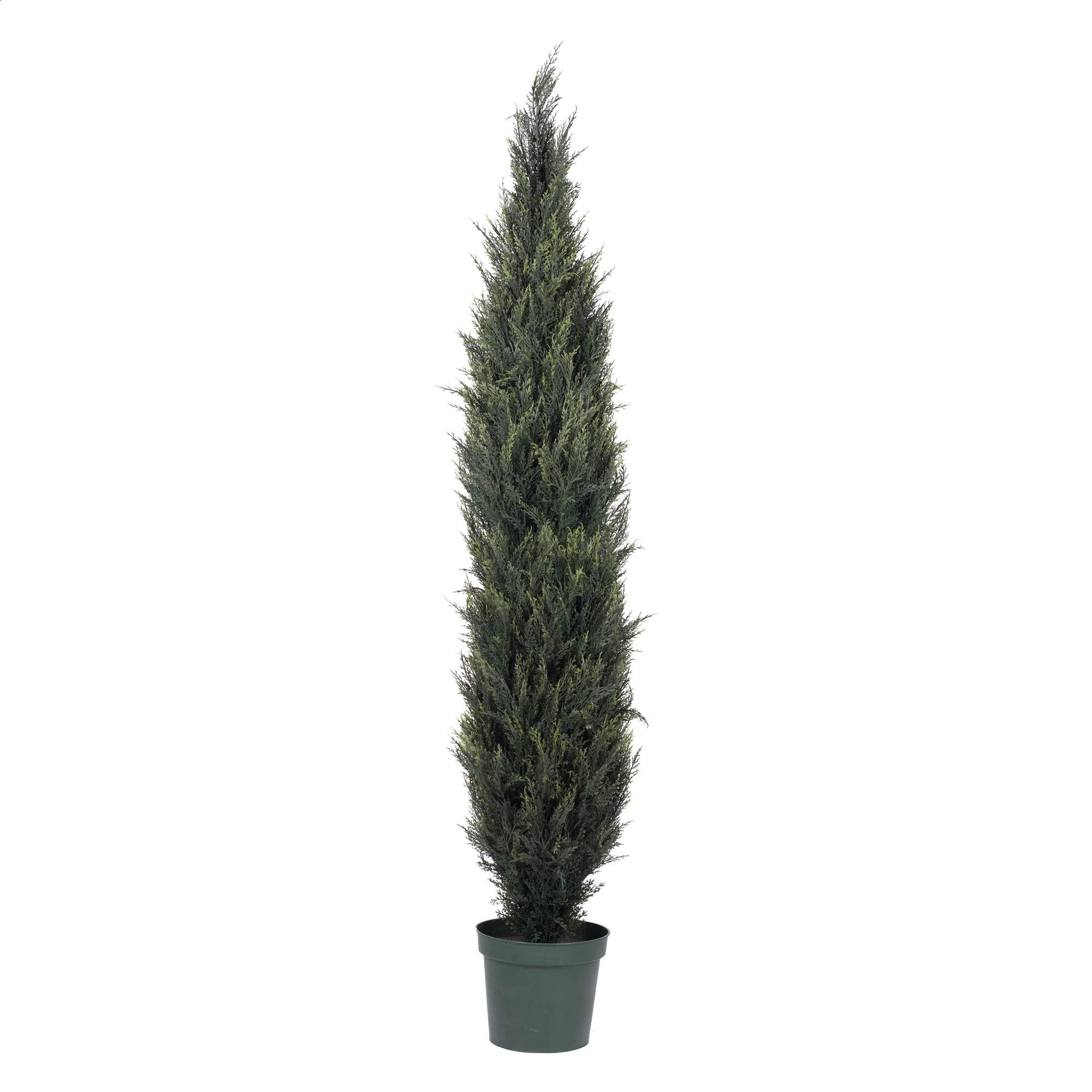 Casafoyer Everyday 7' UV-Resistant Artificial Pond Cypress Tree for Home Decor ( Pack of 2 )