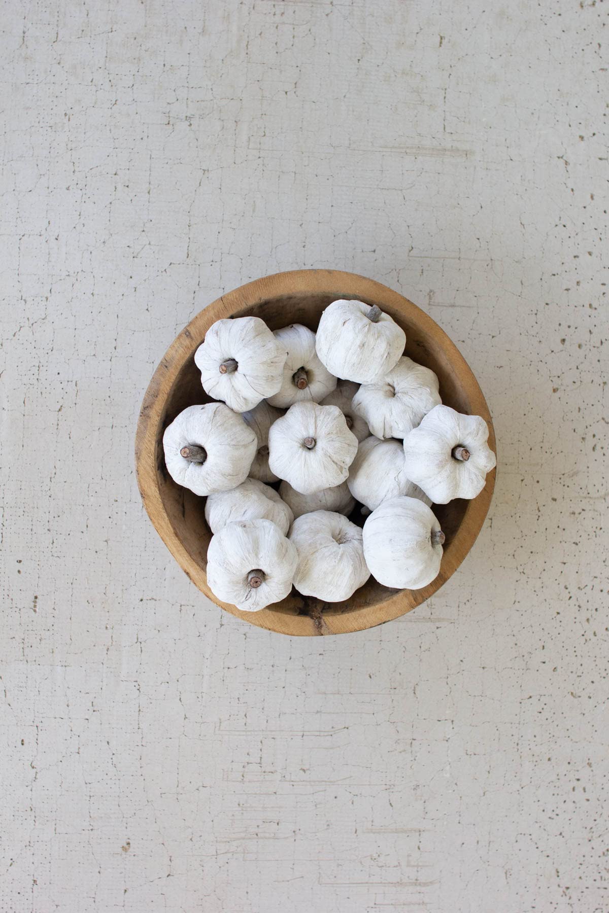 Bag Of Fifteen Dried Miniature Faux Pumpkins - White