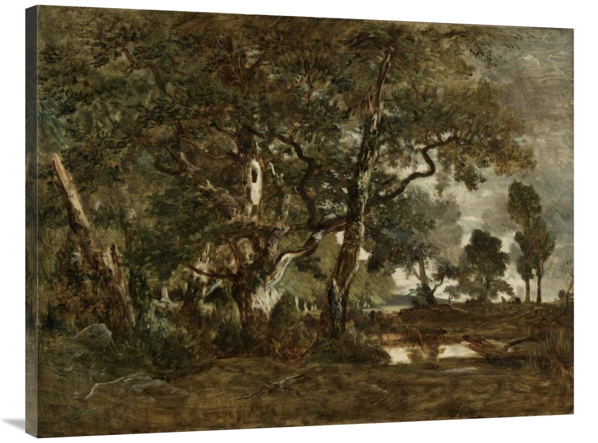 Forest of Fontainebleau, Cluster of Tall Trees Overlooking the Plain of Clair-Bois at the Edge of Bas-Breau-Canvas Art-40x30”