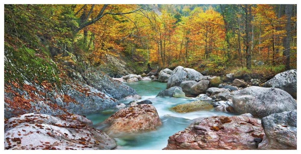 Mountain brook and rocks, Carinthia, Austria-Paper Art-74x38”
