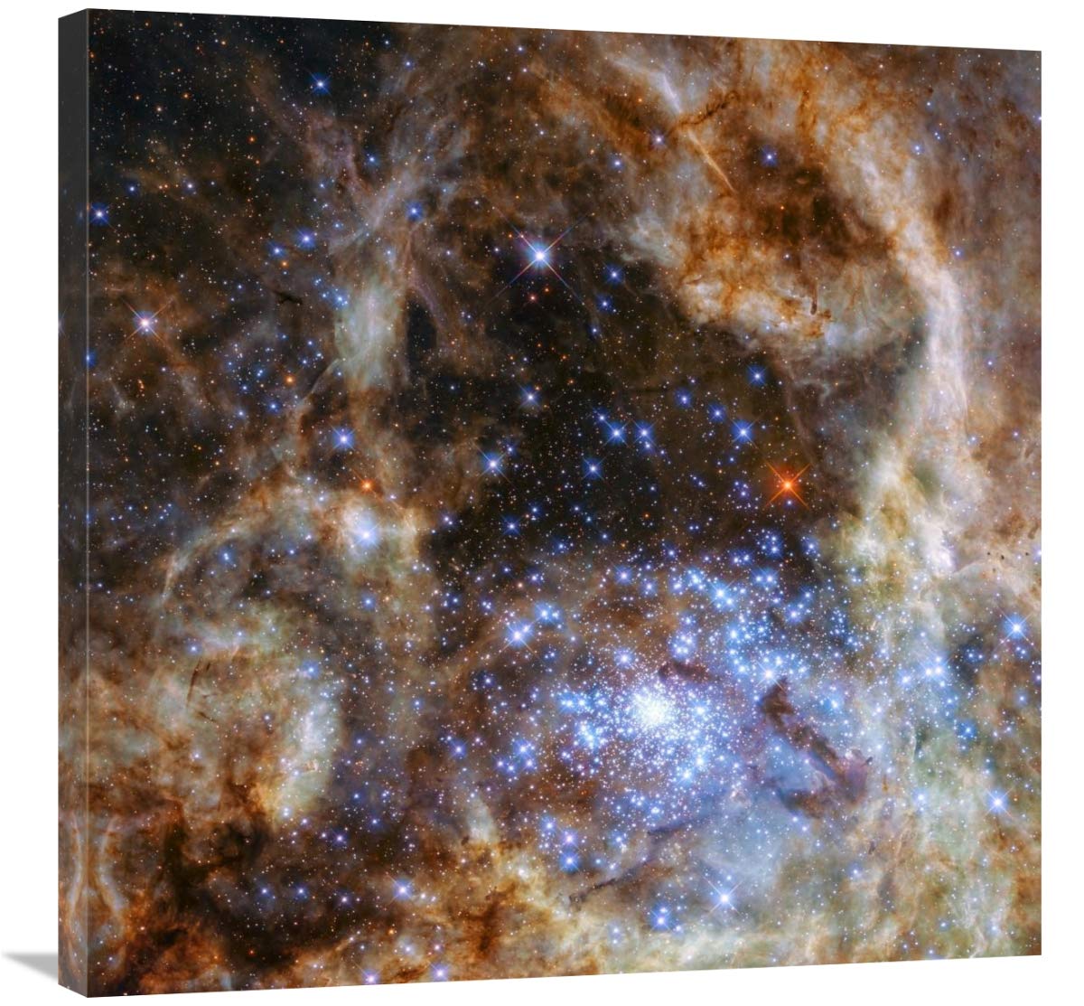 Star Cluster R136-Canvas Art-30x30”