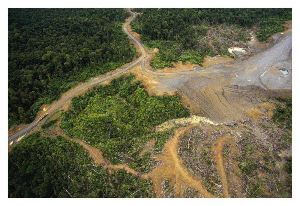 Logging erosion in lowland tropical rainforest across the broad flood plain of Aird River, Kikori Basin, Papua New Guinea-Paper Art-20x14”