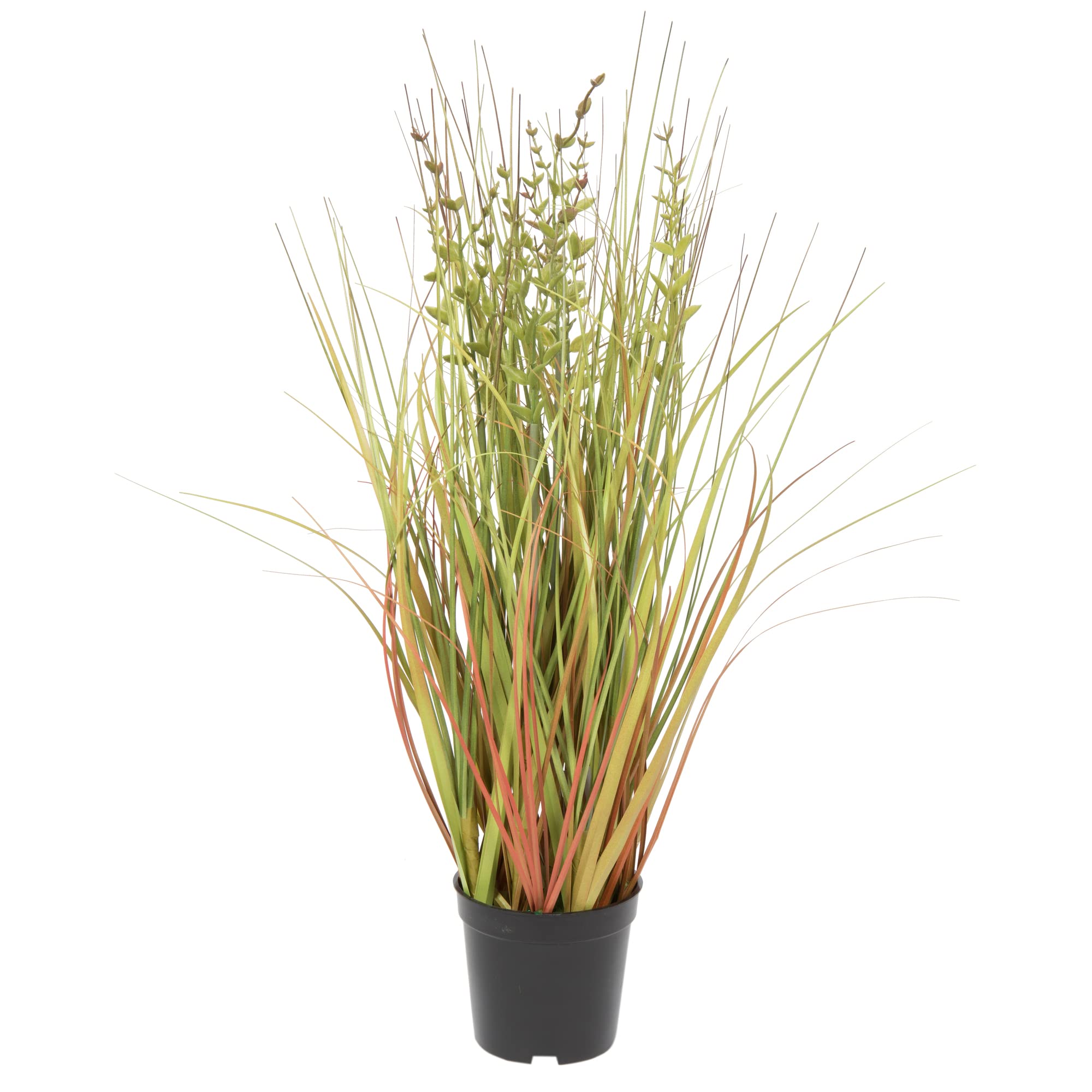 Casafoyer 24” Lifelike Artificial Grass in Black Pot - Home Decor ( Pack of 2 )