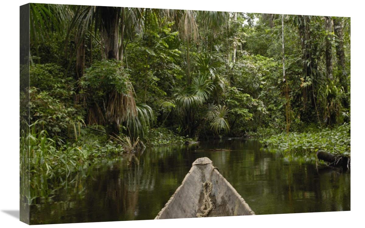 Dugout canoe in blackwater stream, Yasuni National Park, Amazonia, Ecuador-Canvas Art-30x20”