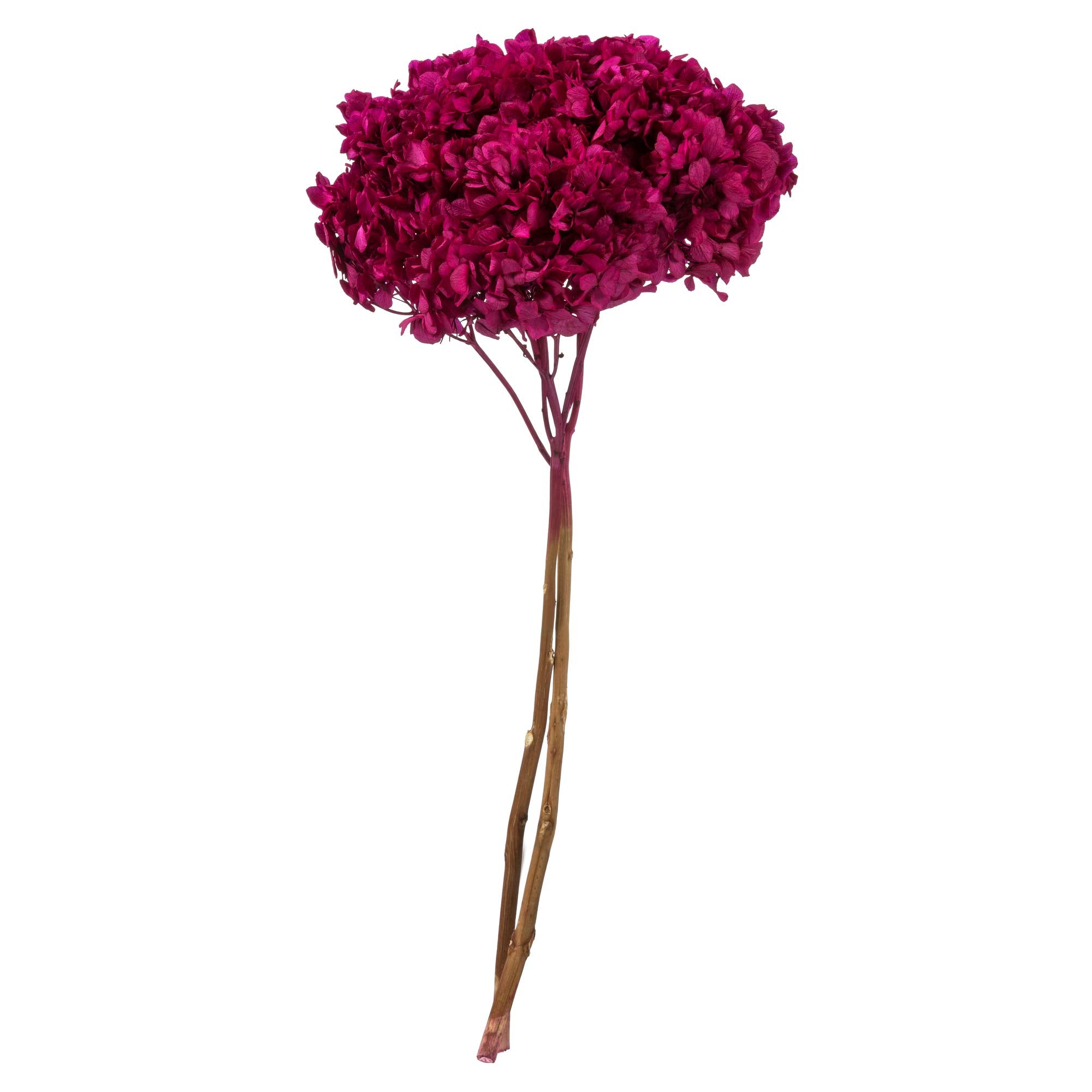 Casafoyer 15” Merlot Hydrangea Stem - (Pack Of 2)