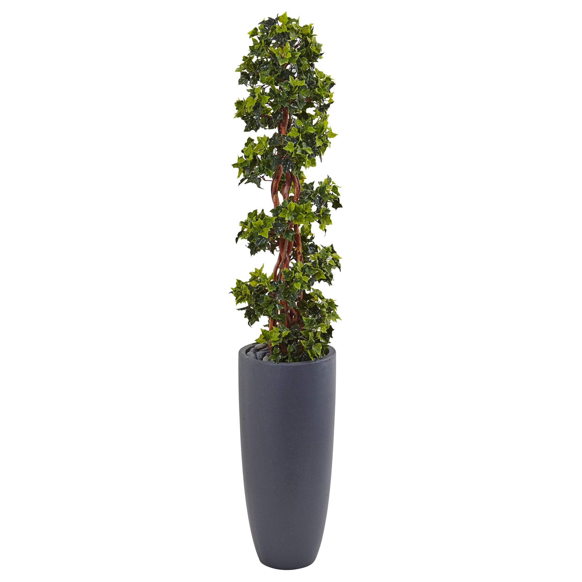 5 English Ivy Spiral Topiary Tree in Gray Cylinder Planter UV Resistant (Indoor/Outdoor)