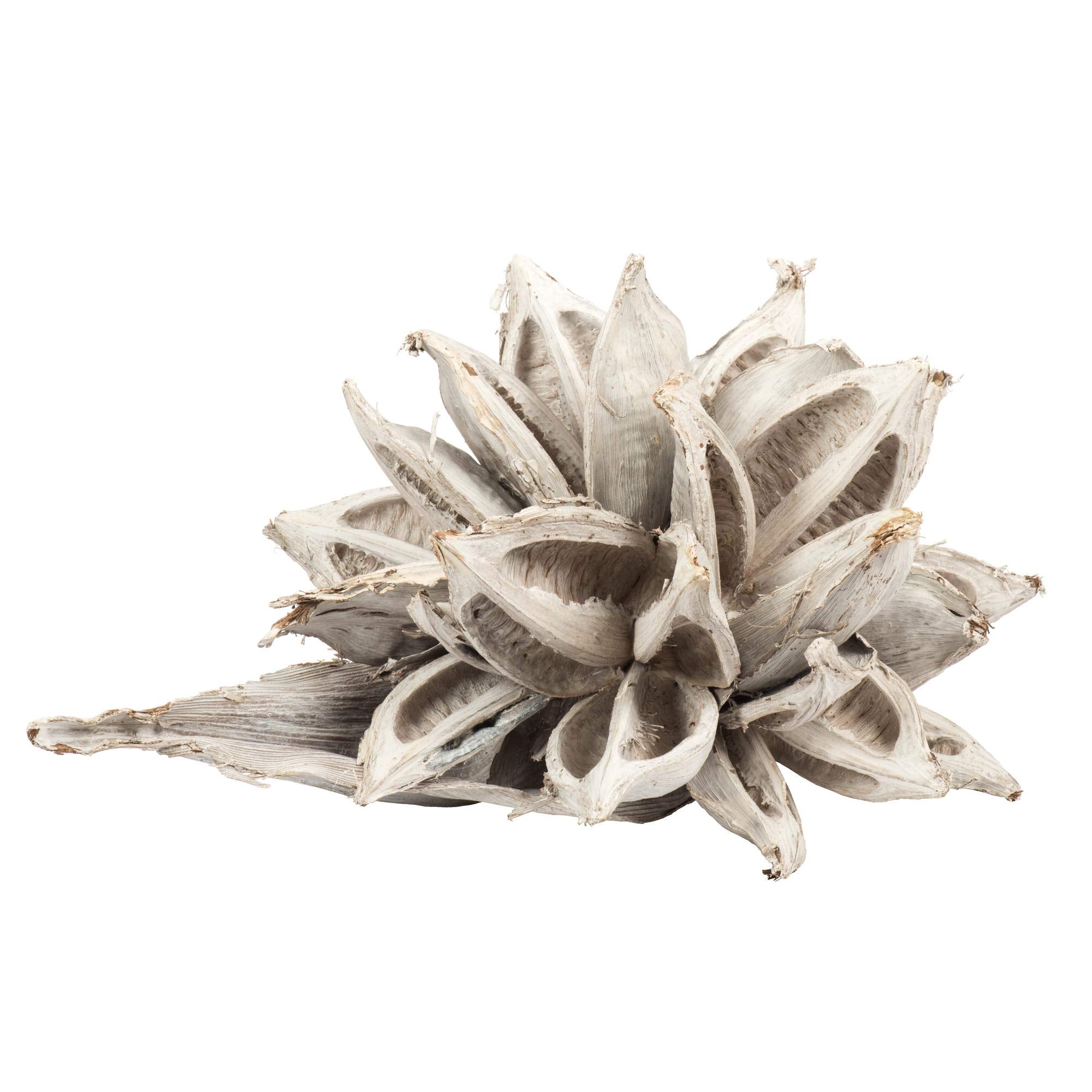 Casafoyer 12-16” White Wash Star Pod - 1Pc - (Pack Of 2)