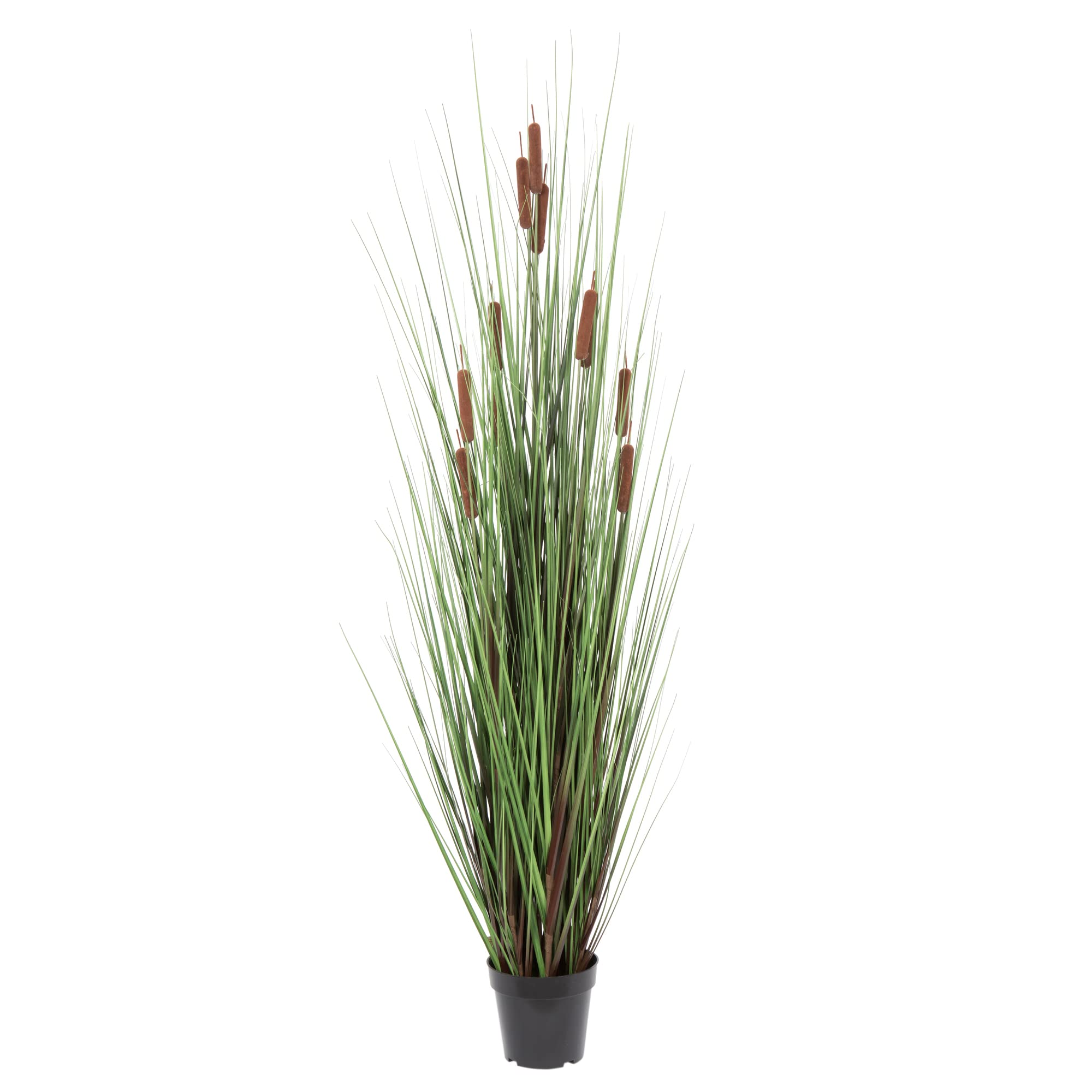 Casafoyer  60” Grass with 12 Cattails Potted - TN170360 - (Pack Of 2)
