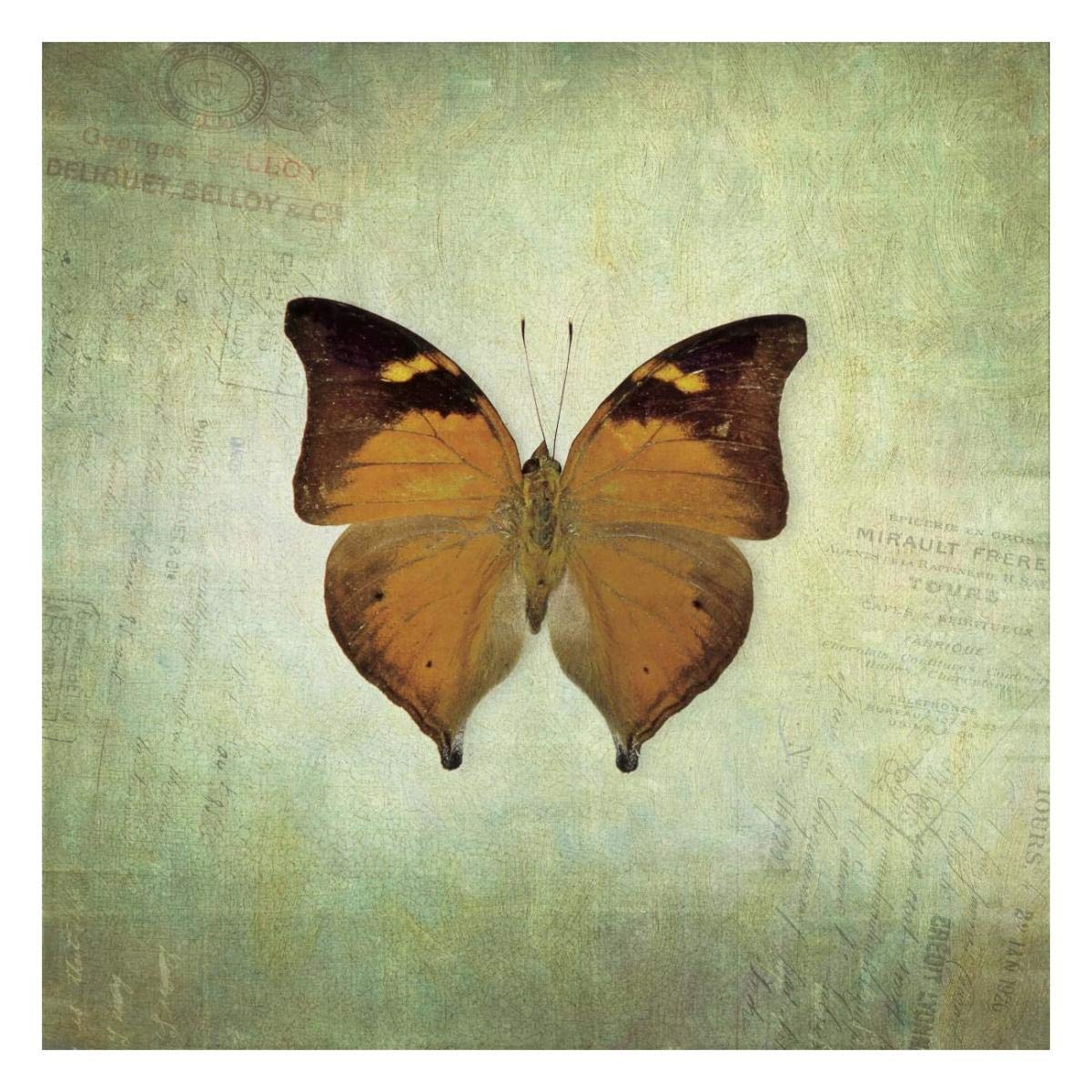 French Butterfly VII -Paper Art-26x26”