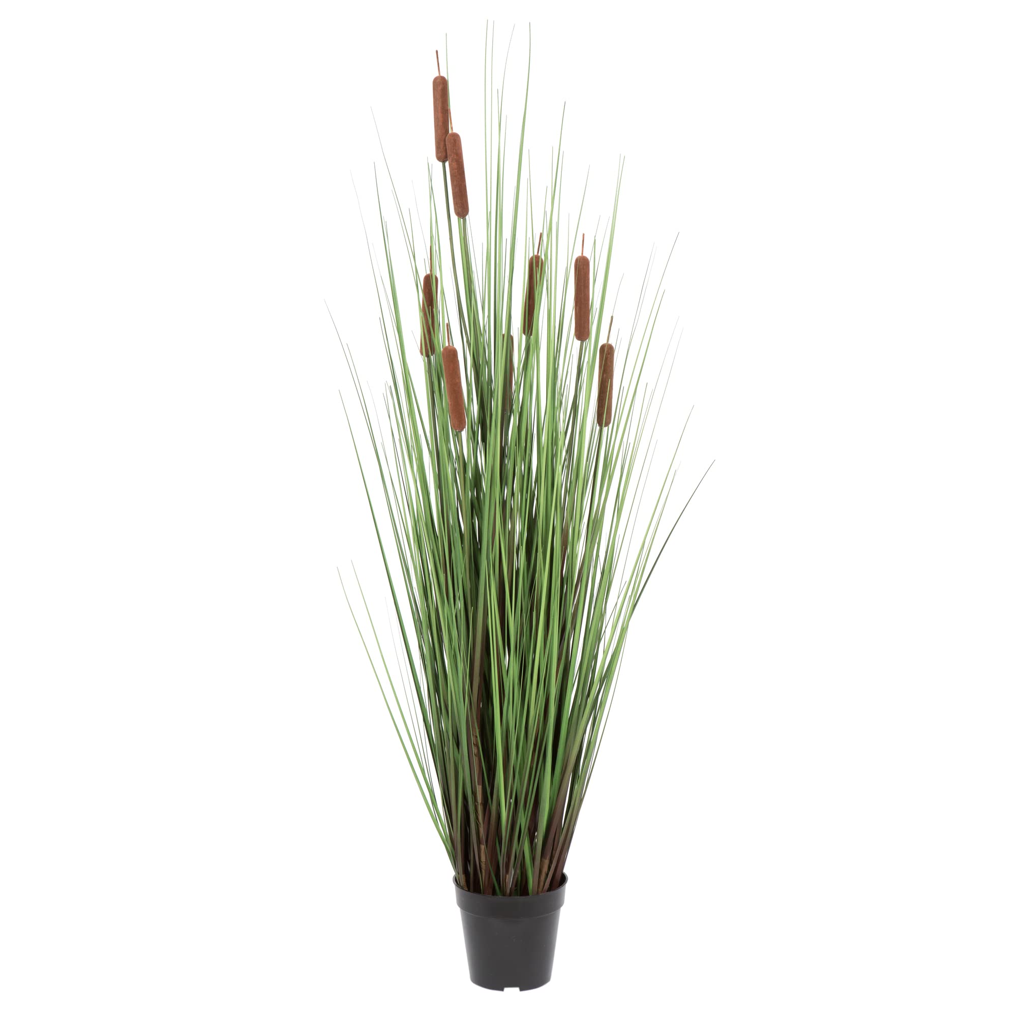 Casafoyer  48” Grass with 8 Cattails Potted - TN170348 | (2 Units)
