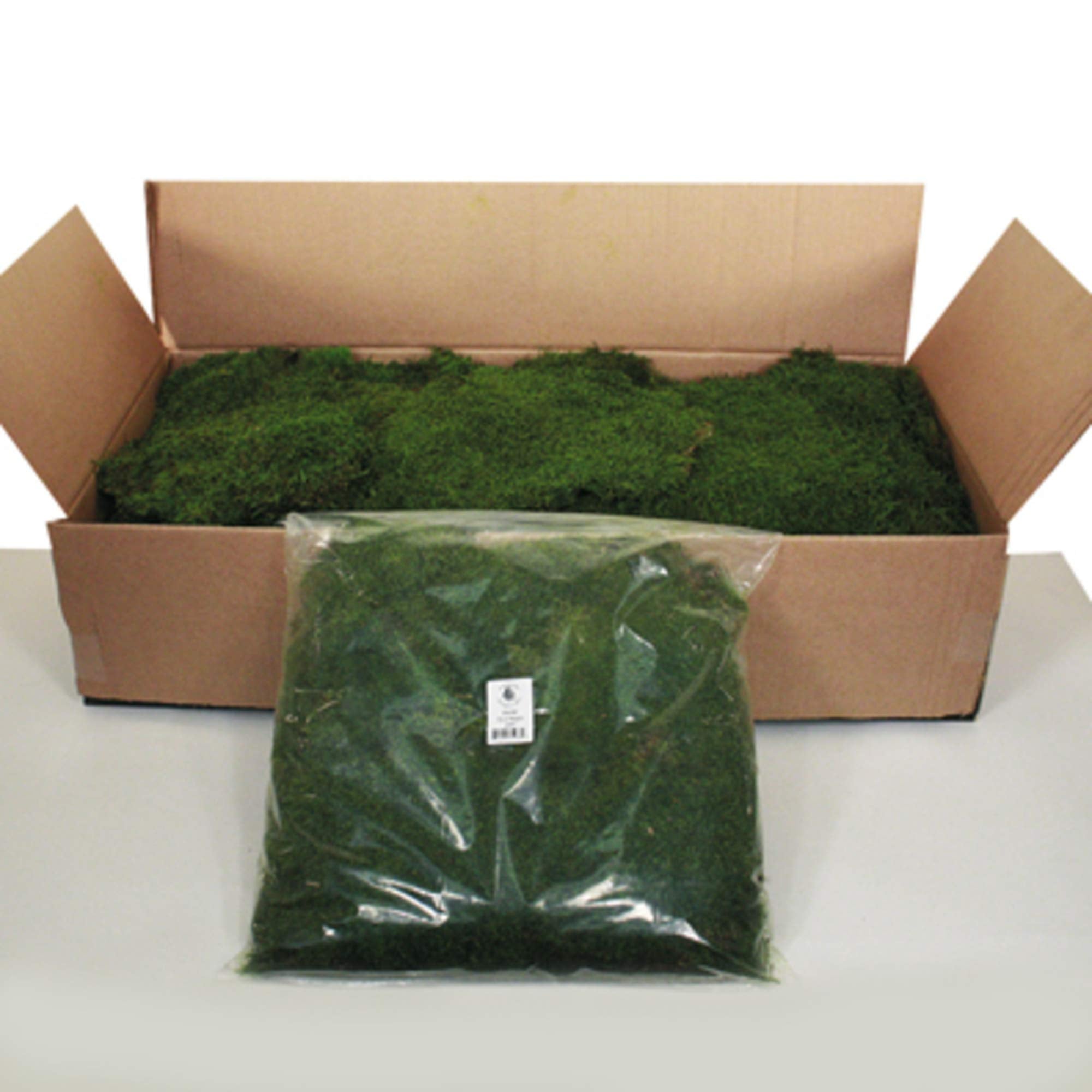 Casafoyer  1.1 Lbs Bag of Green Sheet Moss, Preserved - (Pack Of 2)
