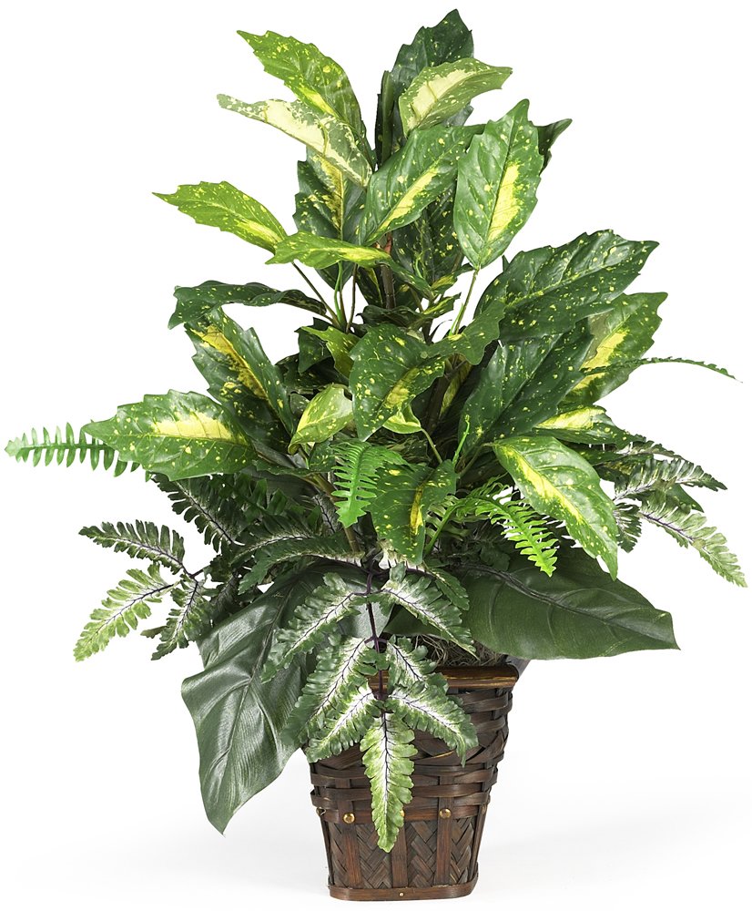 Mixed Greens w/Wicker Silk Plant