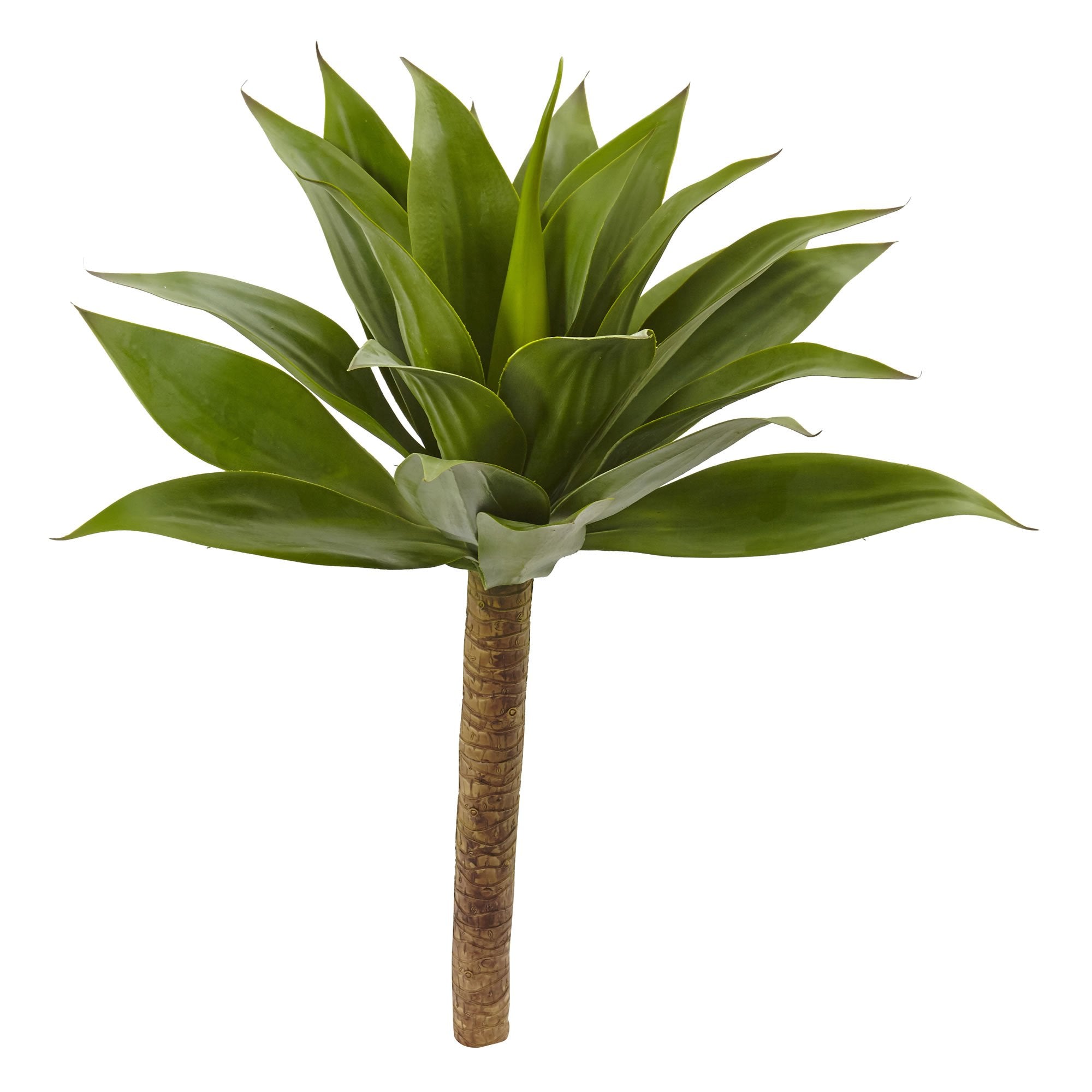 32????Agave Plant w/Stem