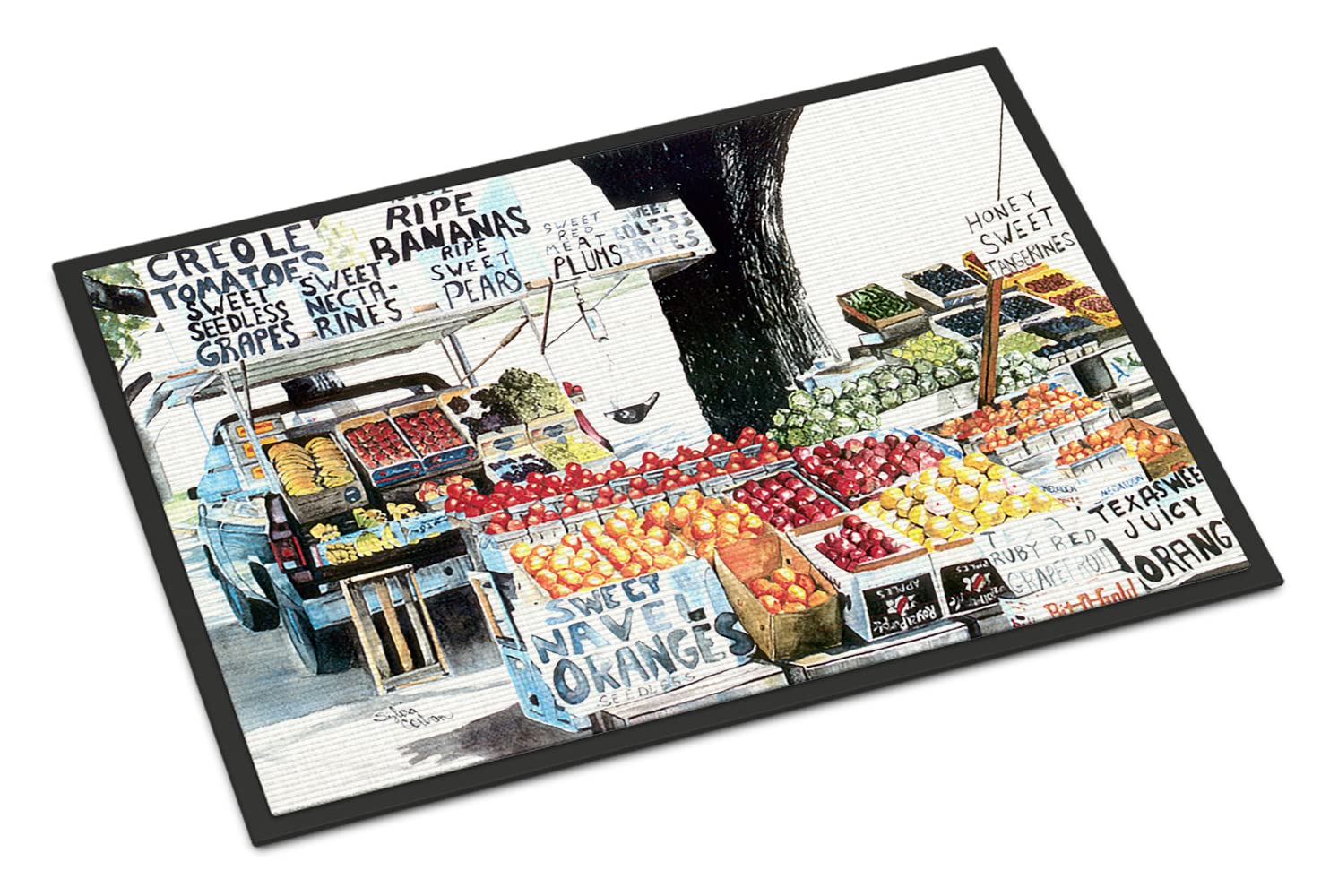 Indoor or Outdoor Mat 24x36