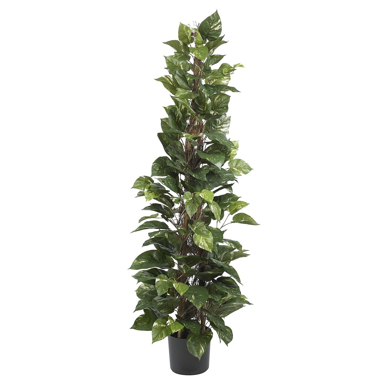 63″ Pothos Climbing Silk Plant