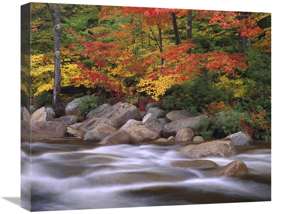 Autumn along Swift River, White Mountains National Forest, New Hampshire-Canvas Art-22x18.26”