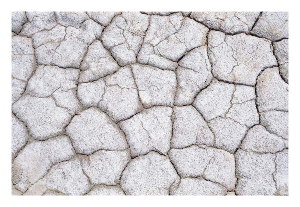Dry and cracked ground pattern, California-Paper Art-26x18”
