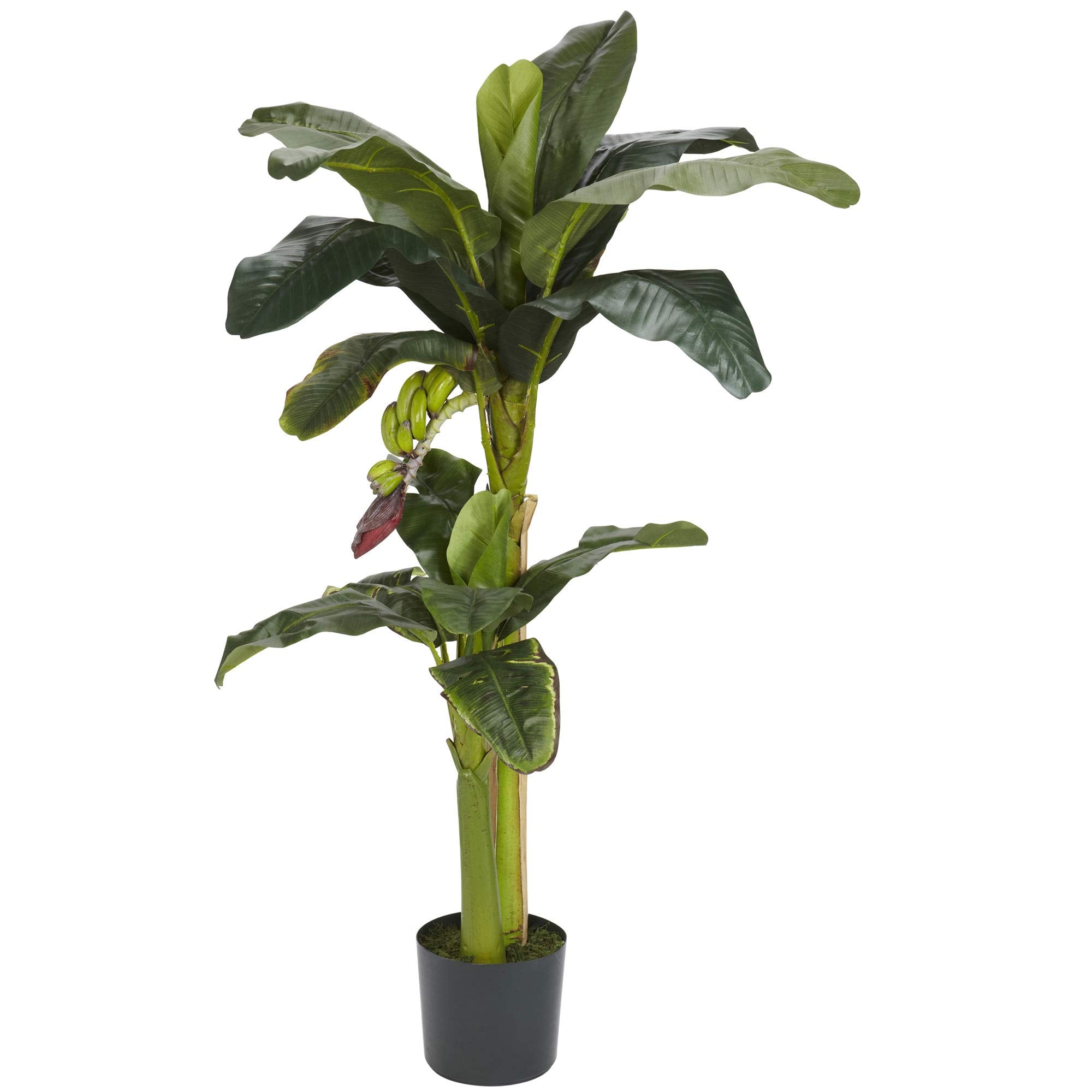 5+3 Banana Silk Tree w/Bananas