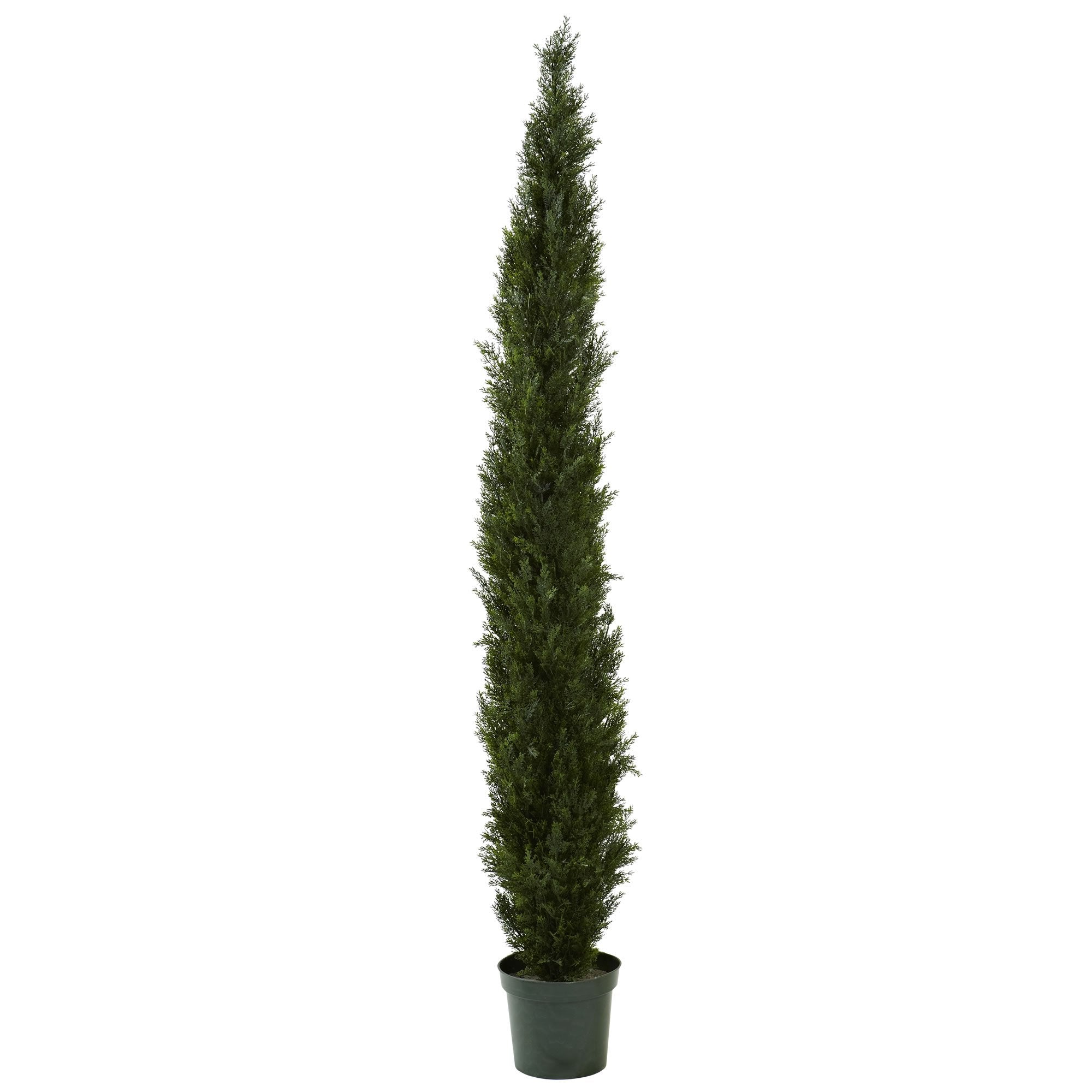 8 Mini Cedar Pine Tree w/4249 tips in 12????Pot (Two Tone Green)