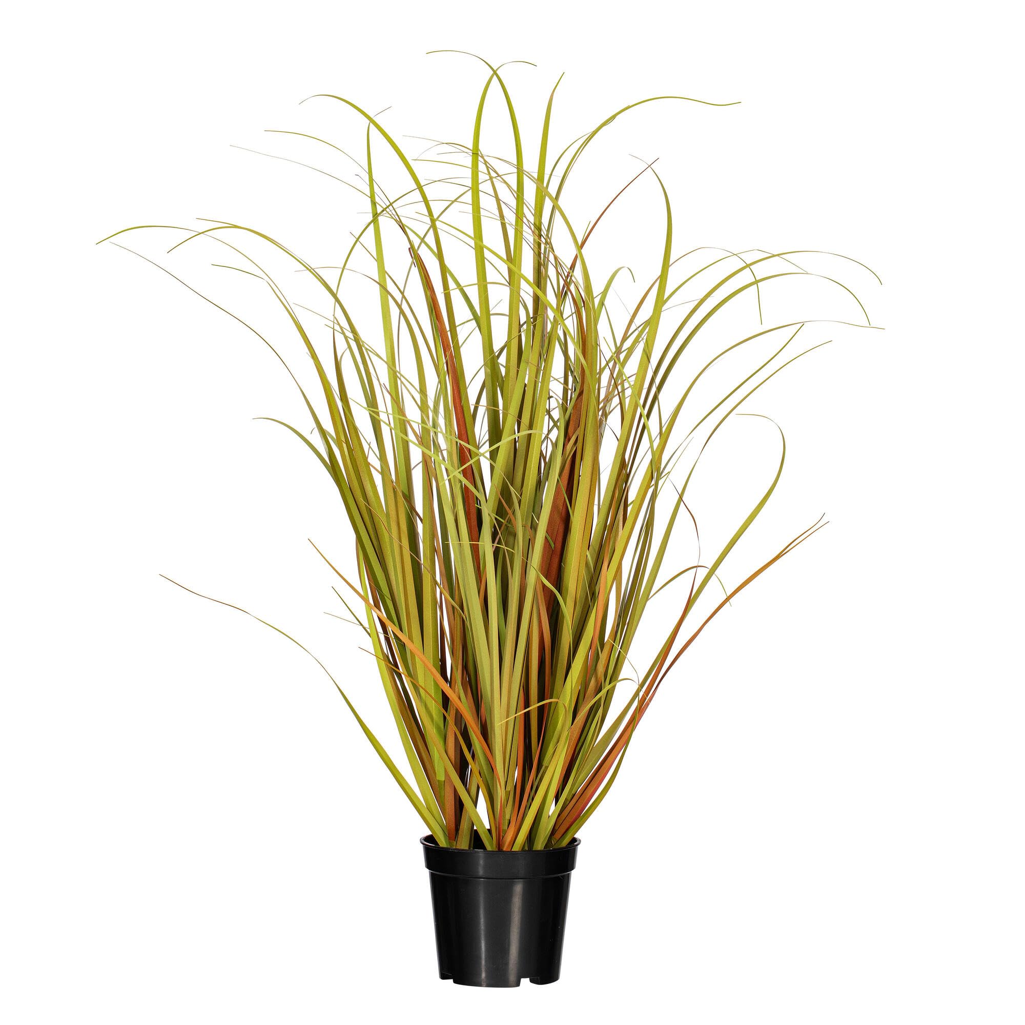 Casafoyer  24” Mixed Brown Grass in Pot - TN170824 - (Pack Of 2)