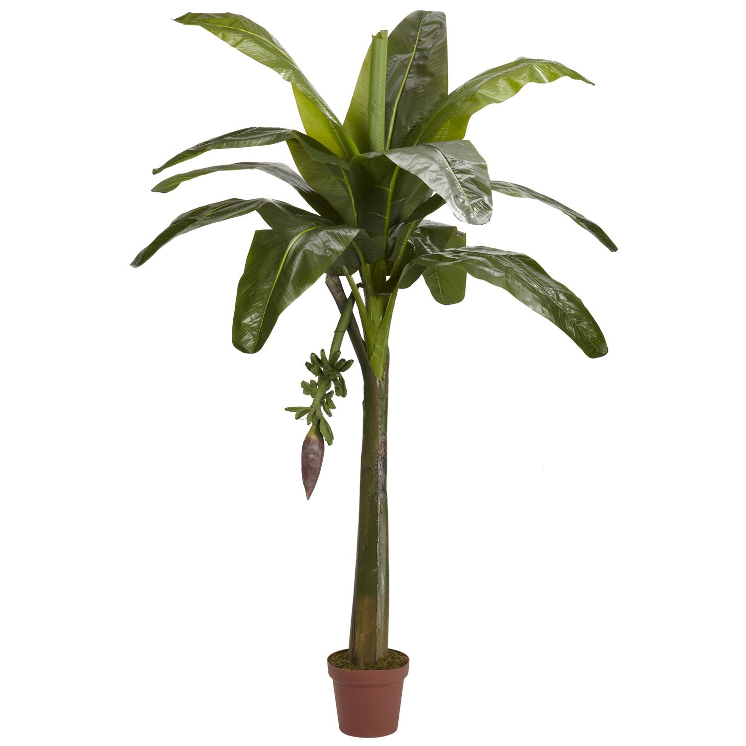 6 Banana Silk Tree (Real Touch)
