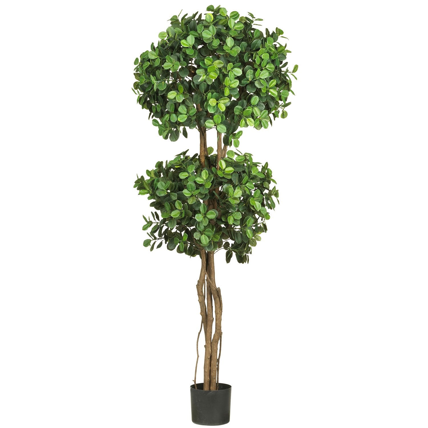 5.5 Eucalyptus Double Ball Topiary Silk Tree