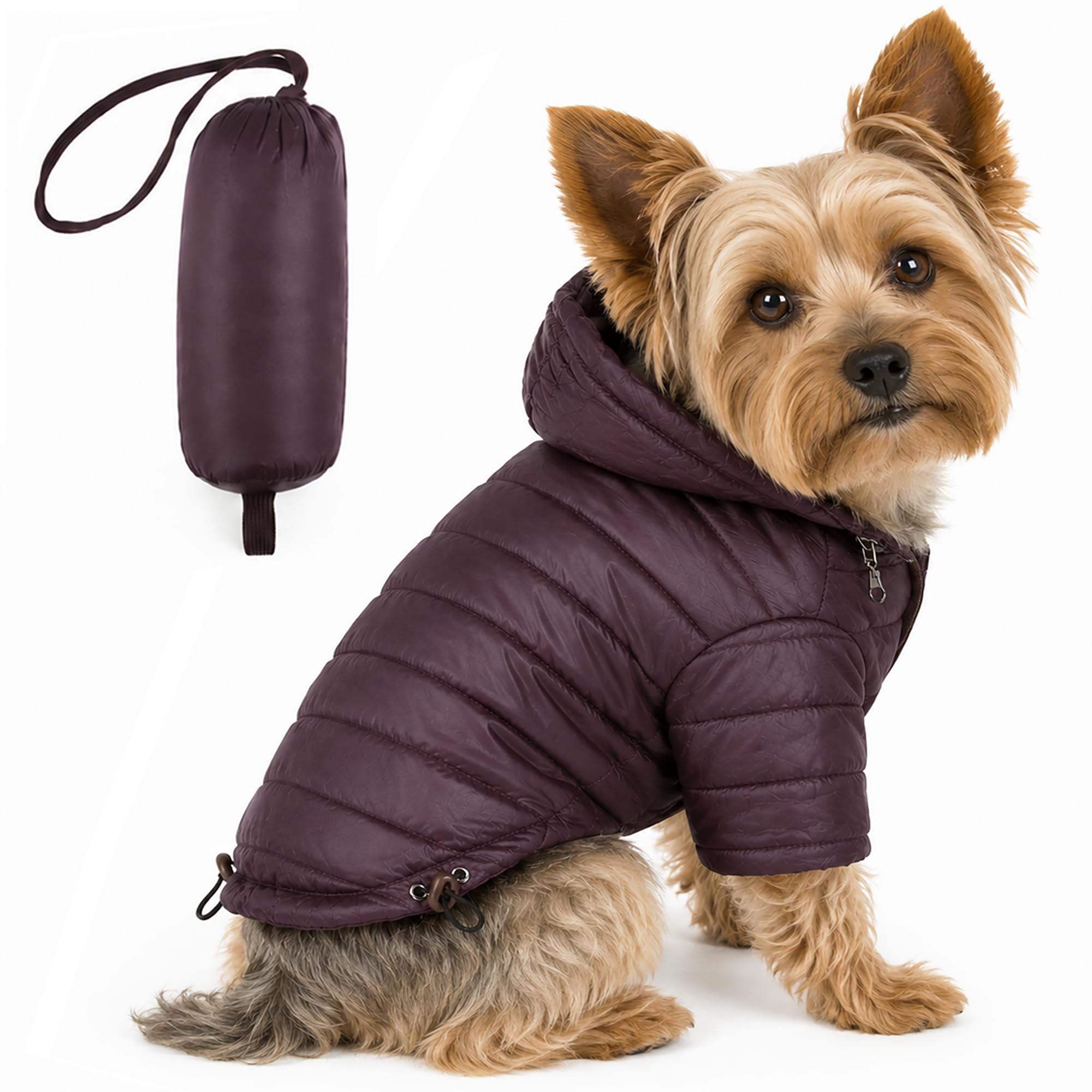 Lightweight Adjustable Sporty Avalanche Pet Coat