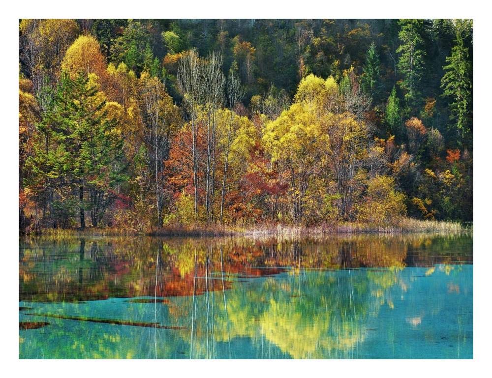 Forest in autumn colours, Sichuan, China-Paper Art-26x20”