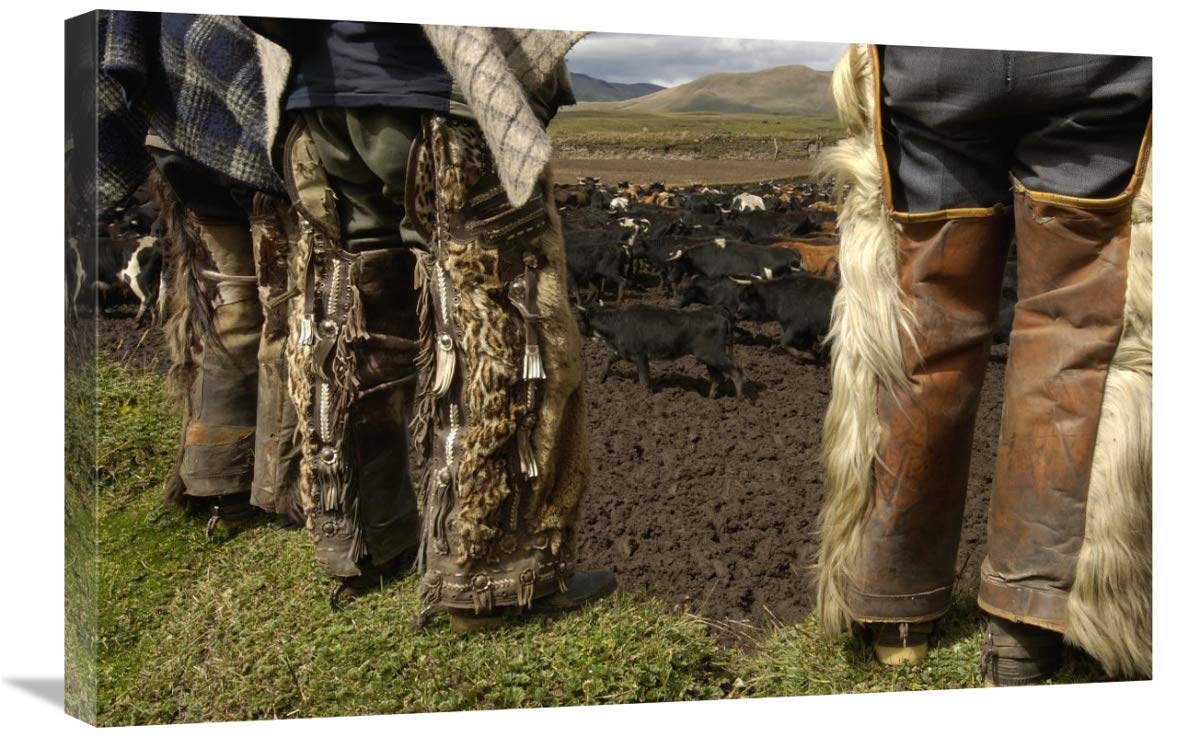Ocelot fur and goat hair on chaps worn by Chagras, Andes Mountains, Ecuador-Canvas Art-30x20”
