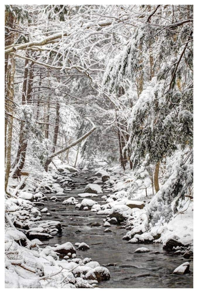 Stream in winter, Nova Scotia, Canada-Paper Art-42x62”