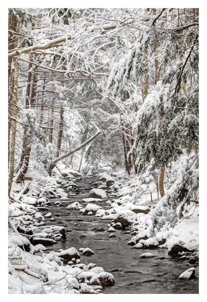 Stream in winter, Nova Scotia, Canada-Paper Art-26x38”