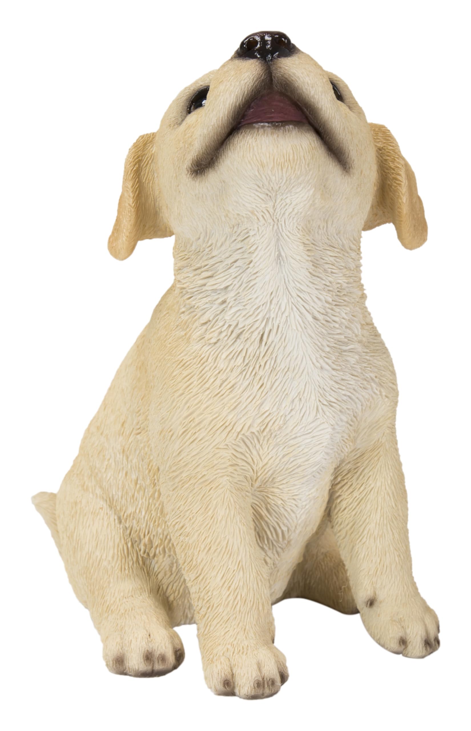 Hi-Line Gift Ltd 87703-G Yellow Labrador Puppy Howling
