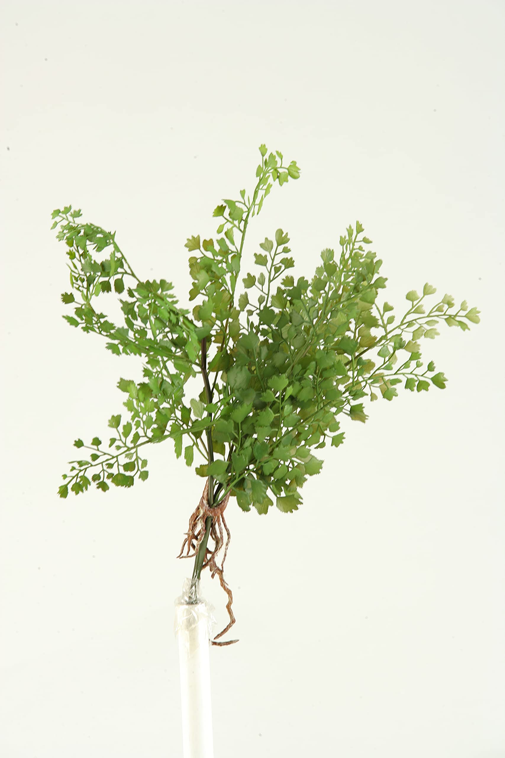 Flat Iron Fern Spray