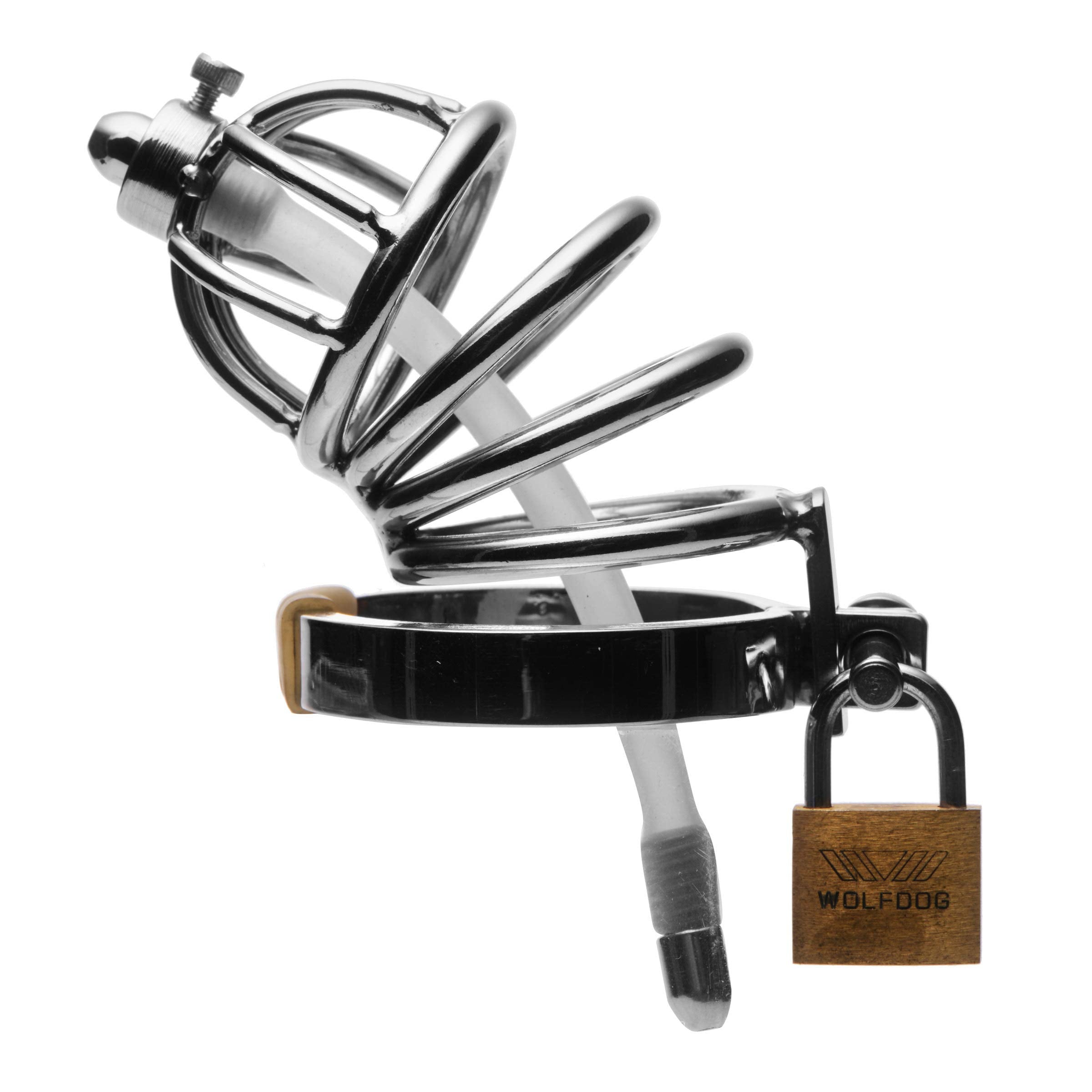 Asylum 6 Ring Locking Chastity Cage