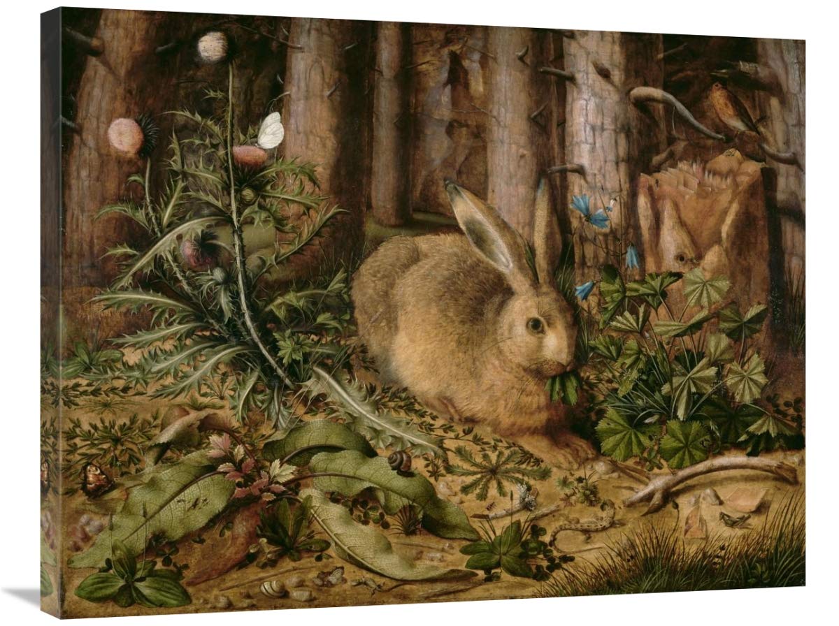 A Hare in the Forest-Canvas Art-35x28”