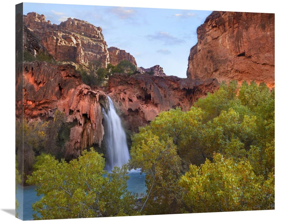 Havasu Falls, Grand Canyon, Arizona-Canvas Art-30x24.9”