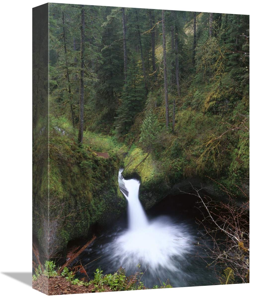 Punchbowl Falls at Eagle Creek, Columbia River Gorge, Oregon-Canvas Art-12x16”