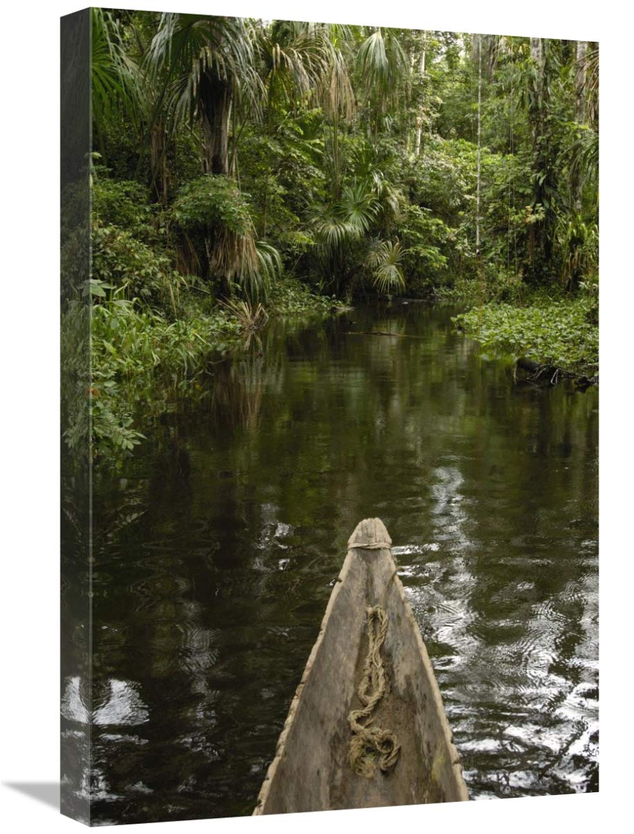 Dugout canoe in blackwater stream, Yasuni National Park, Amazonia, Ecuador-Canvas Art-16x24”