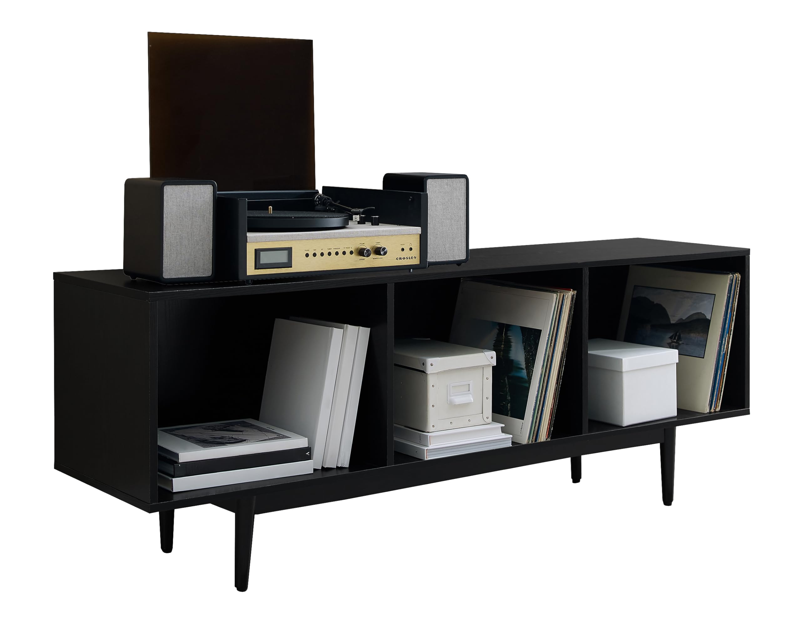 Liam Large Record Storage Console Cabinet