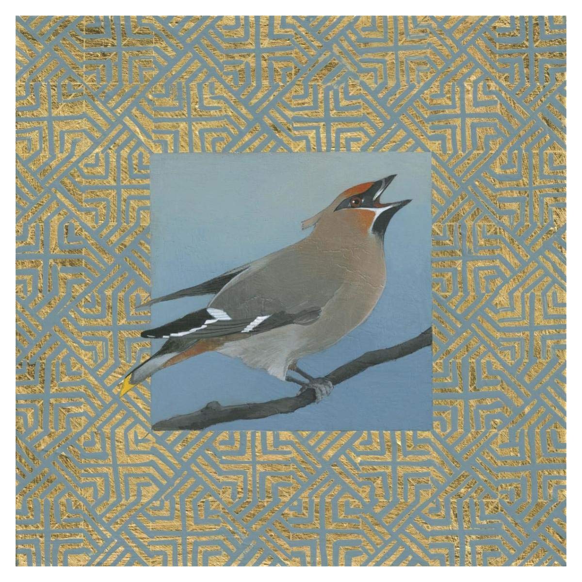 Cedar Waxwing Border -Paper Art-38x38”