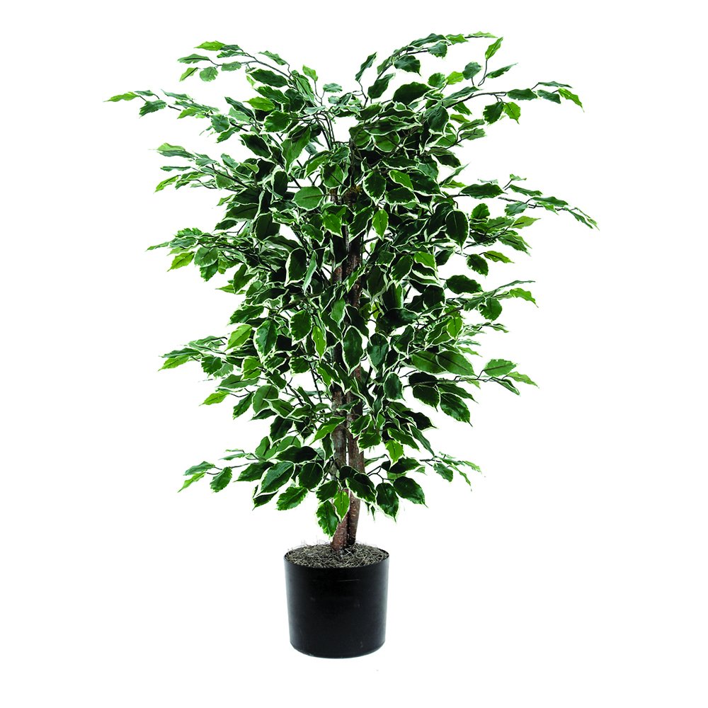 Casafoyer 4' Artificial Variegated Ficus Bush in Black Pot - Lifelike Decor ( Pack of 2 )
