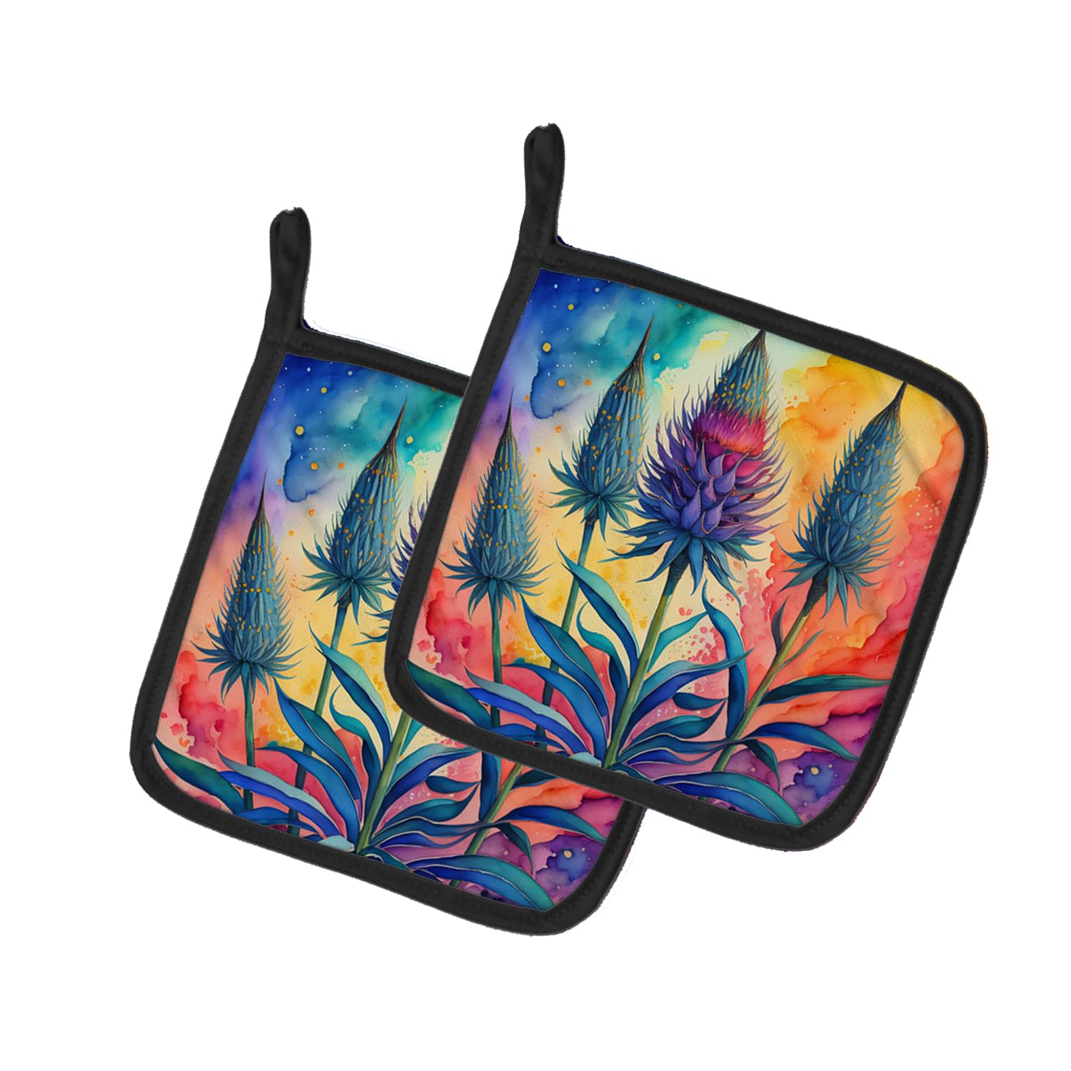 Colorful Eryngium Pair of Pot Holders
