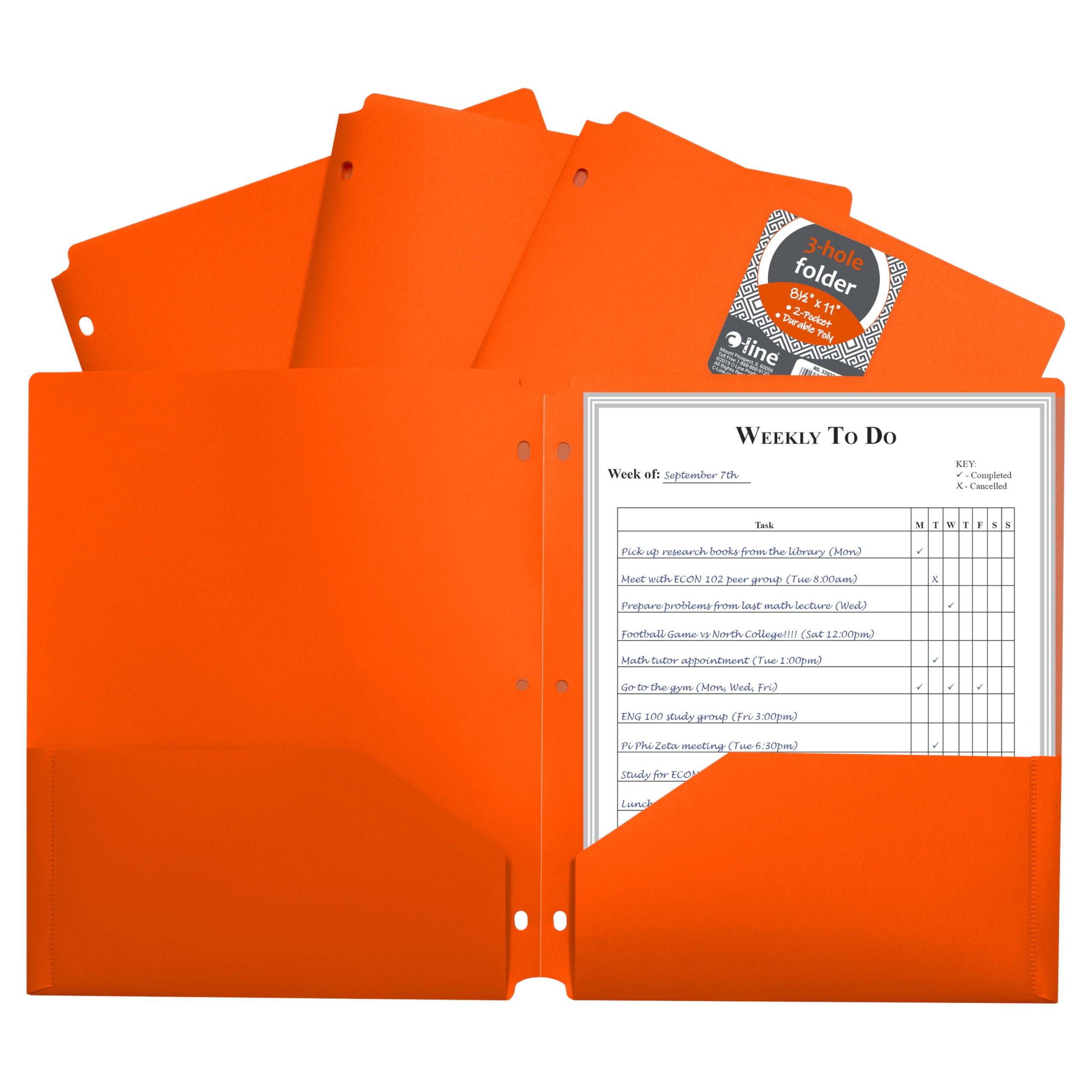 Two-Pocket Heavyweight Poly Portfolio Folder with Three-Hole Punch, Orange, 33932, 1/EA (Set of 25 EA)