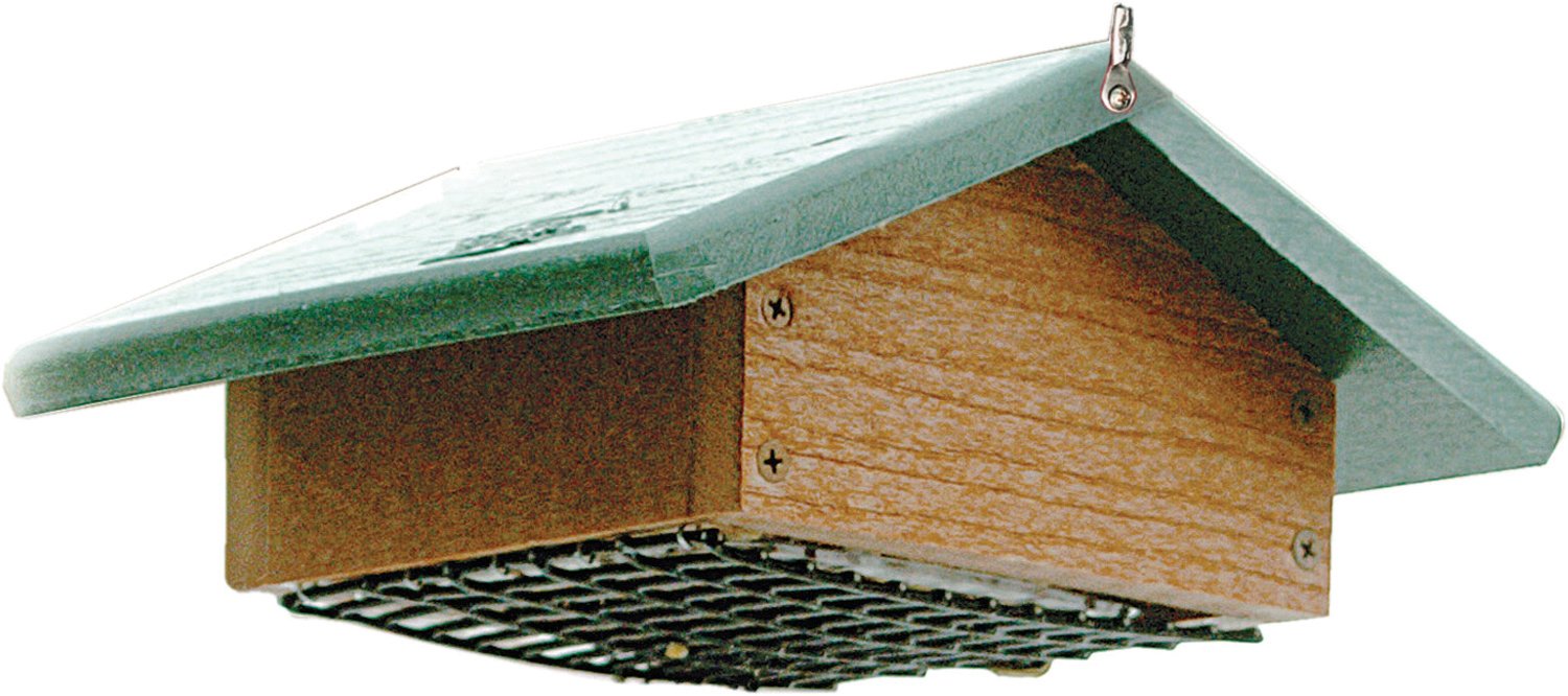 Going Green????????Upside Down Suet Feeder