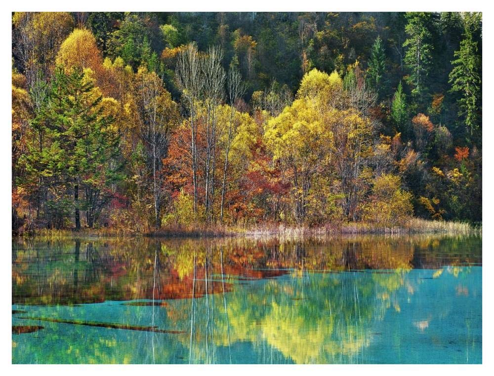 Forest in autumn colours, Sichuan, China-Paper Art-42x32”