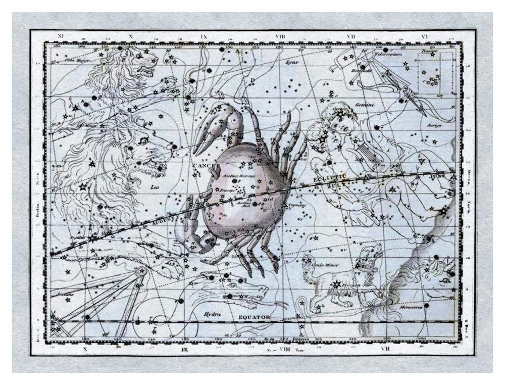 Maps of the Heavens: Cancer - the Crab-Paper Art-42x32”