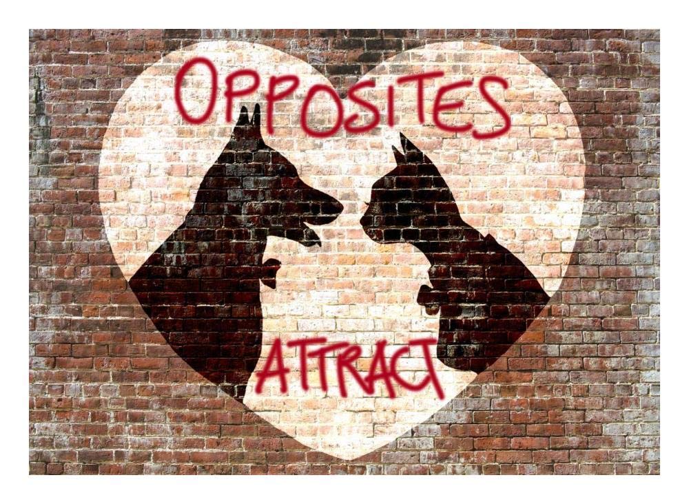 Opposites attract-Paper Art-24x18”