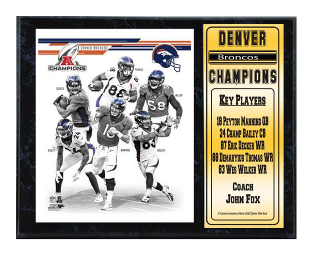 12x15 Stat Plaque - 2013 AFC Champion Denver Broncos